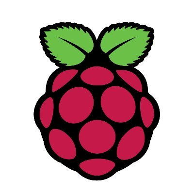 RASPBERRY PI PICO RP2040 BOARD