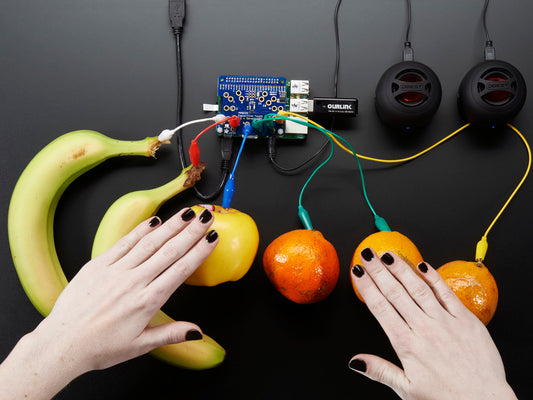 Adafruit Capacitive Touch HAT for Raspberry Pi - Mini Kit