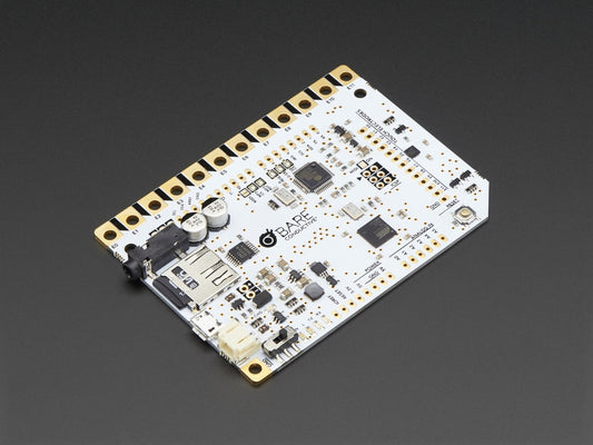 Bare Conductive Touch Board